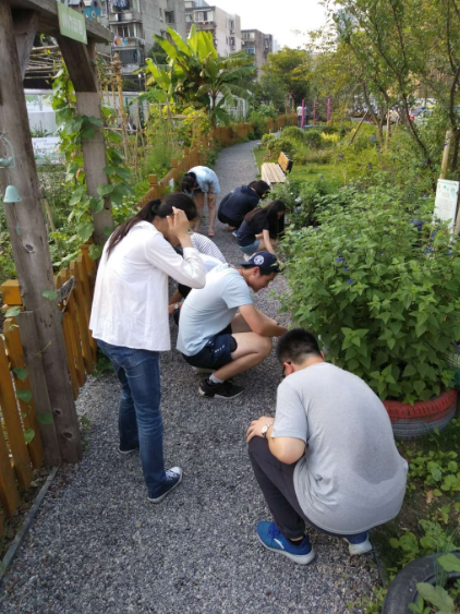 都市田园,民情体验—人文学院经济社会学系2017级本科班走进创智农